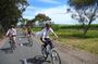 McLaren Vale Wine Tour by E-Bike (Private & Small Group)