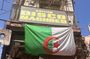 Day Trip to Oran with a Local Expert