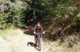 Mountainbike Magic: Vienna's Forest and Fresh Grape Juice