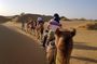 2 Days One Night Safari into Thar Desert 7:30AM to 11AM Next day