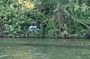 Frankfurt - Mainz Premium Day Trip by Boat with Sightseeing & Wildlife, F&B