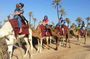 Visite Agadir Medina with camel or Hors riding