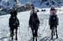 Amirsoy Chimgan and Charvak Lake Tour from Tashkent