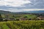 From Lyon Beaujolais Golden Stones Wine Tasting Private Tour