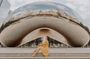 Private and All-Inclusive Tour of Chicago