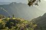 Ella Rock Hiking Tour with Sunrise or Day Options