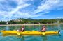 Half Day Kayak Turtle Tour