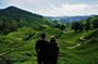 Cameron Highlands Day Trip from Ipoh with Lunch & Mossy Forest