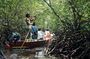 Mangrove Tour at Nusa Lembongan : Kayak, Paddle and Boat