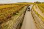 Two Day Tour of the Douro Valley