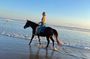 Seminyak Bali Horse Back Riding private experiance