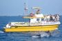 Dolphin Watching Excursion in Gibraltar