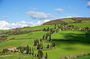 Private Tuscany Wine Experience from Rome: Montepulciano & Pienza