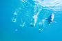 Los Cabos Power Snorkel Adventure, Kayaking and Stand-Up Paddle