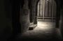 Cambridge After Dark: University Ghost Tour by Alumni™
