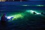 Guided Night Snorkeling in Roatan
