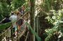 Eco Walk in Green Bali: Nature & Herbal Trails near Ubud