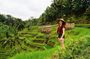 Private Bali Tour - All Inclusive