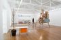 Private Tour: Art Galleries Tour in São Paulo