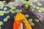 Stand Up Paddle tour from Tirana Albania to Skadar Lake & Buna River