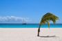 Barbados Shore Excursion Barbados Paradise Sightseeing Tour