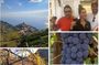 Wine trails from Positano with tasting