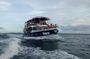 Whale Watching Experience in Mirissa