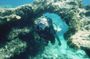 Local Guided Dives (for certified/licensed divers)