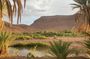 Private 2 Day Oasis Retreat Adventure