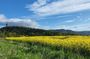 Stirling Run Tour