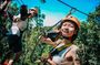 Samui Zipline FLY and Fun Tree Bridge Jungle Cafe and Waterfall