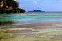Chief Roi Mata Domain & Artok Island Tour of Vanuatu