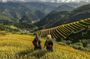 Sapa 2 Days 1 Night Homestay Motorbike Tour
