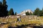 Private Tour at The Hood-Columbia Loop: Timberline, Orchards, and Waterfalls