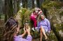 Pena Palace, Moorish Castle and Quinta da Regaleira hiking tour