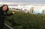 Guided History & Nature Exploration in the Yokohama Hill Area