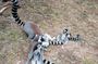 Private Tour of Lemur Park and Queen's Palace