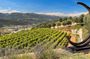 Full-day Wine Tour in Bellet & Saint-Paul de Vence from Nice