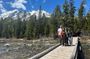 Private VIP Tour of Grand Teton National Park