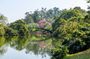 Shared tour of the tourist attractions of São Paulo