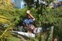 Roatan Shore Excursion - The All in one Roatan Adventure