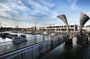 Guided Walking Tour of Bristol Old City and Harbour