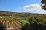 Saturday Temecula Legacy Winery Join-in Tour departing San Diego