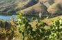 Douro Valley in off road - Private Tour