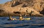 Kayak from Chileno Bay to Santa Maria & Snorkel + Beach Time