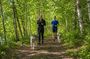 Guided Husky Hike in Finnish National Park