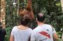 Orangutan Tanjung Puting Honeymoon CoupleTour