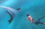 Nusa Penida Island West Snorkeling With Manta Rays