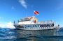 Guided Shallow 2 Tank Dive Trip for CERTIFIED SCUBA DIVERS ONLY!