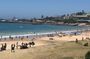 Mosselbay Day tour
